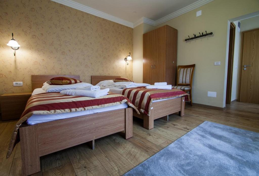 Pension Andronic Timişoara Exterior foto