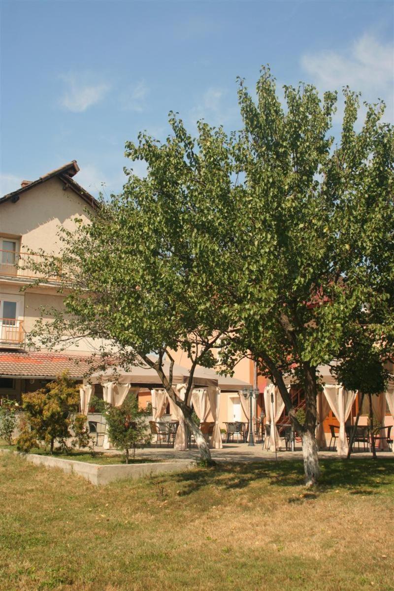 Pension Andronic Timişoara Exterior foto