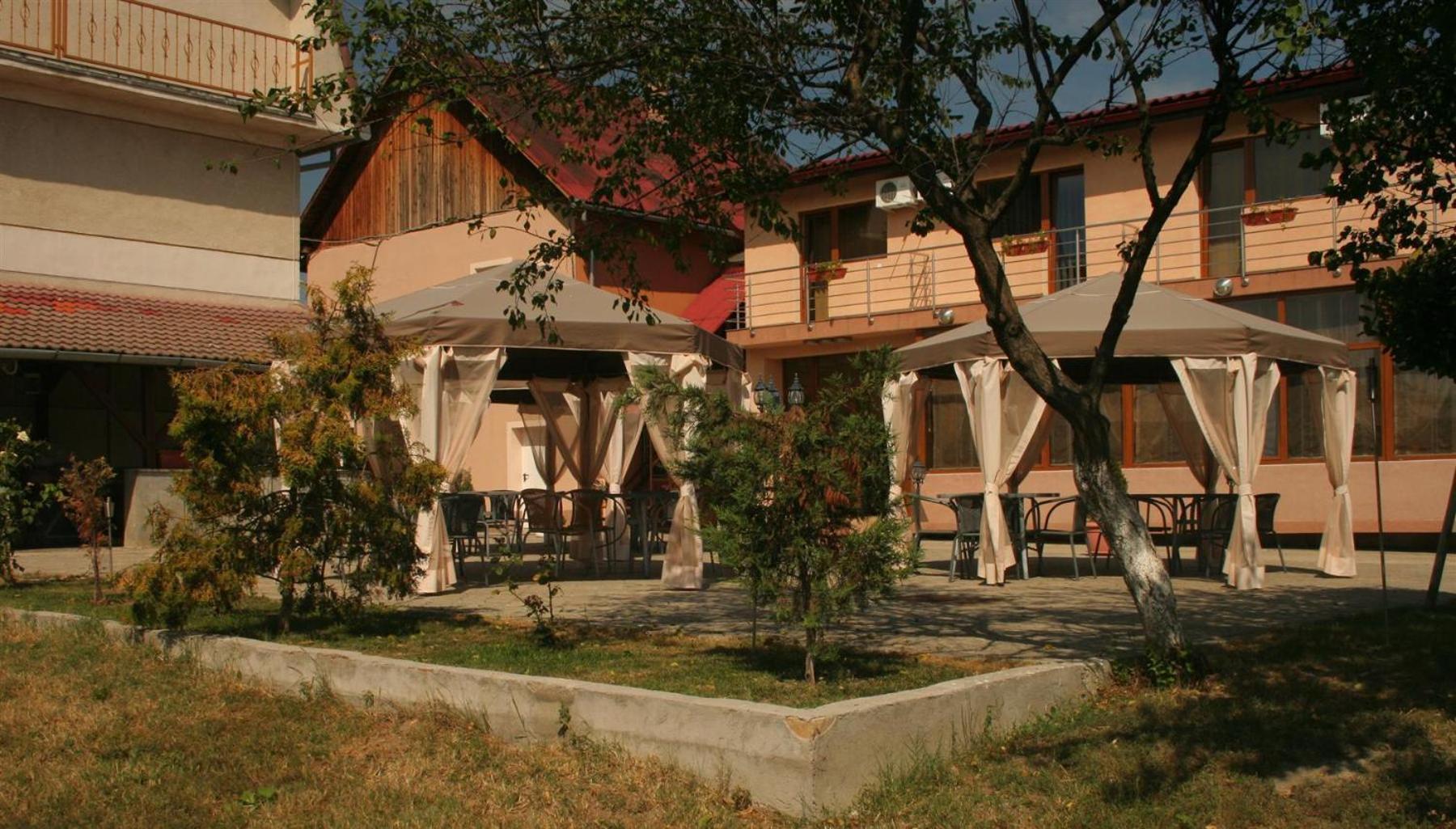 Pension Andronic Timişoara Exterior foto