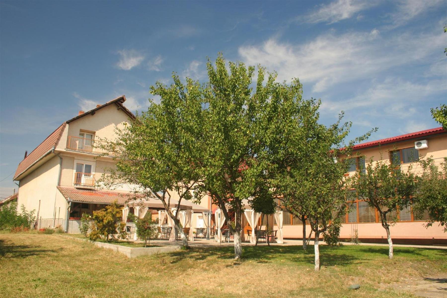 Pension Andronic Timişoara Exterior foto