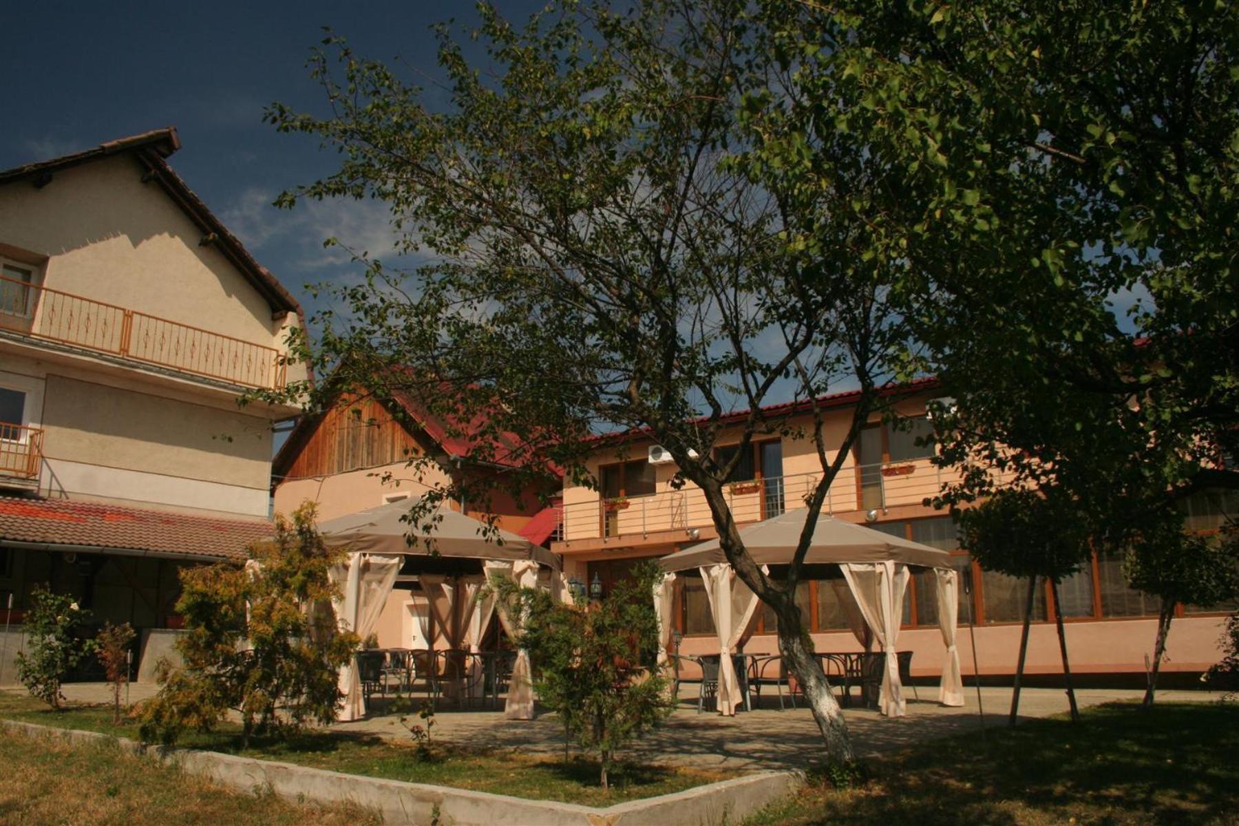 Pension Andronic Timişoara Exterior foto