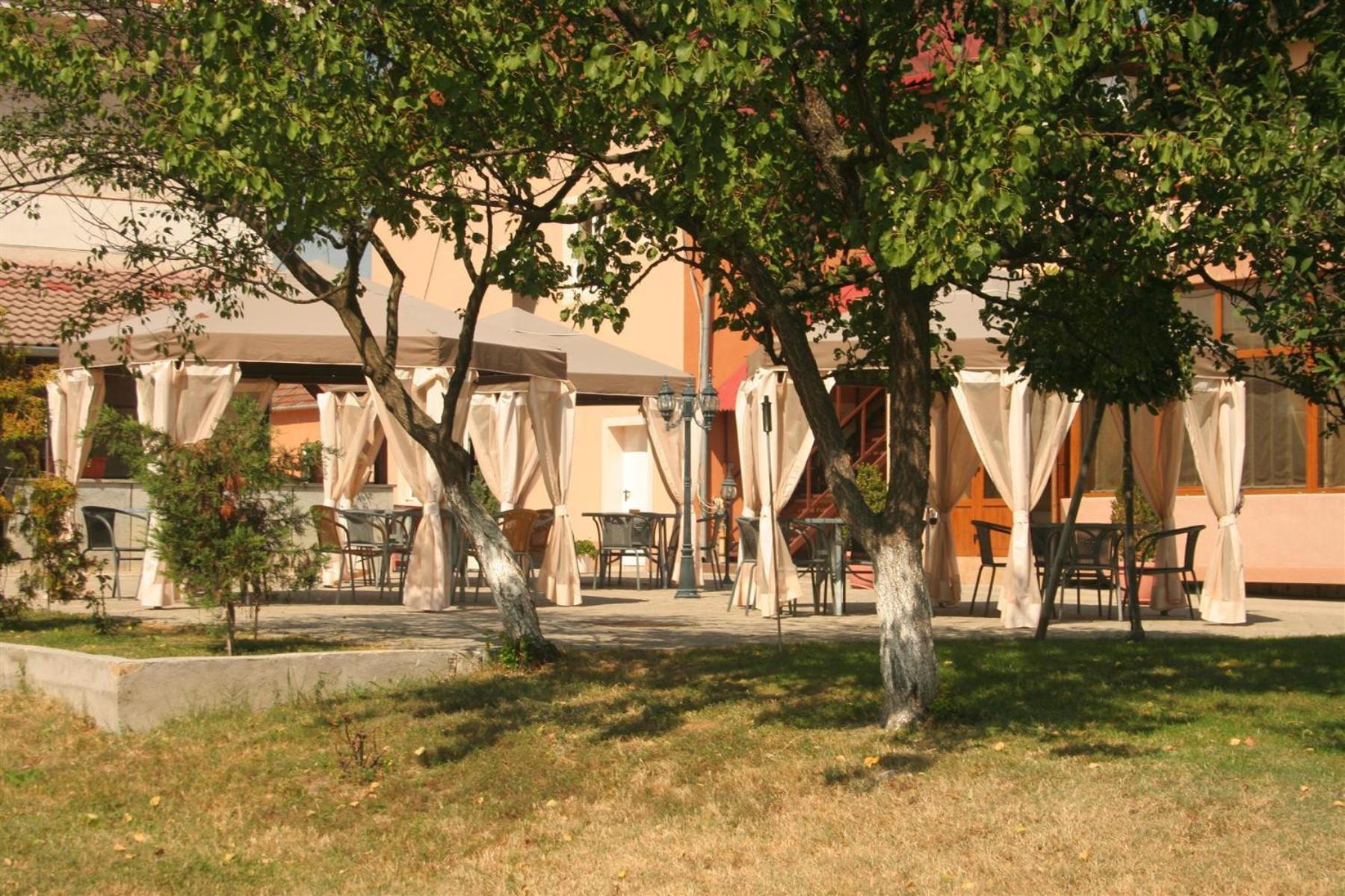 Pension Andronic Timişoara Exterior foto