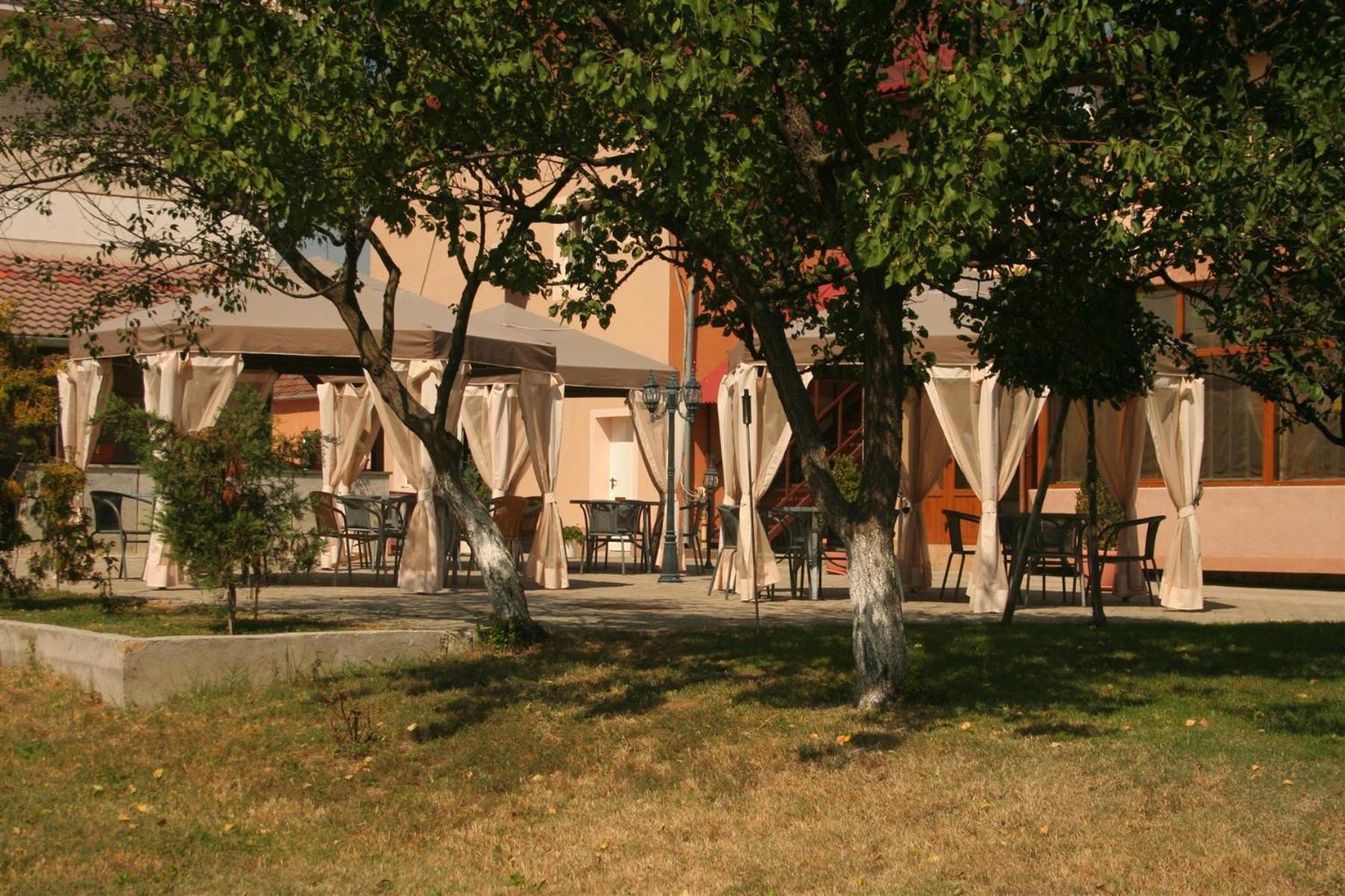 Pension Andronic Timişoara Exterior foto