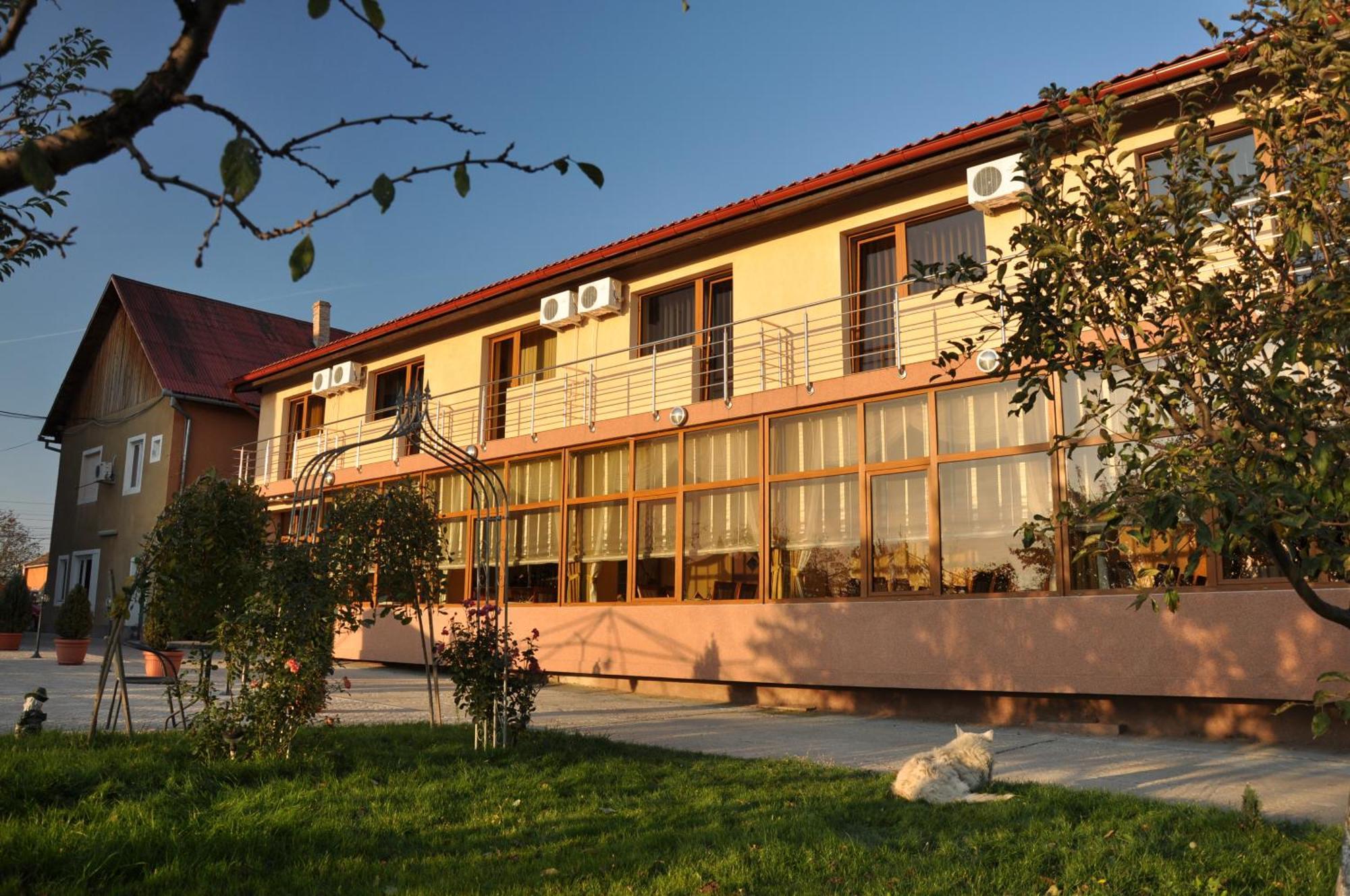 Pension Andronic Timişoara Exterior foto